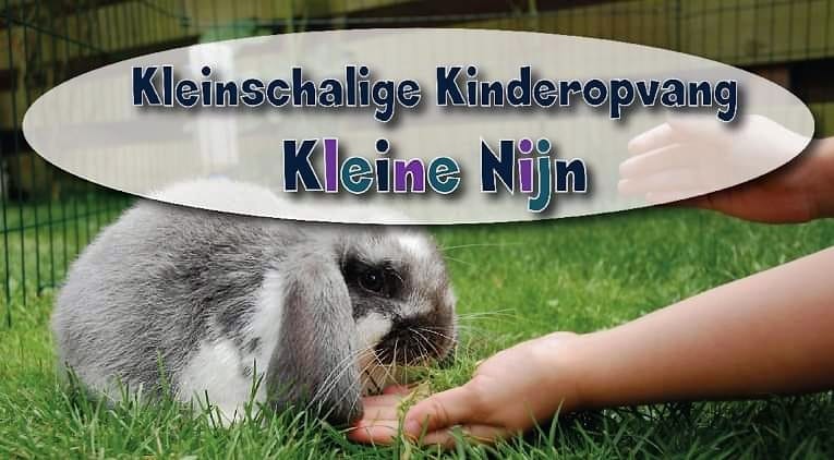 Kleinschalige Kinderopvang Kleine Nijn